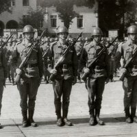 obraz 44
